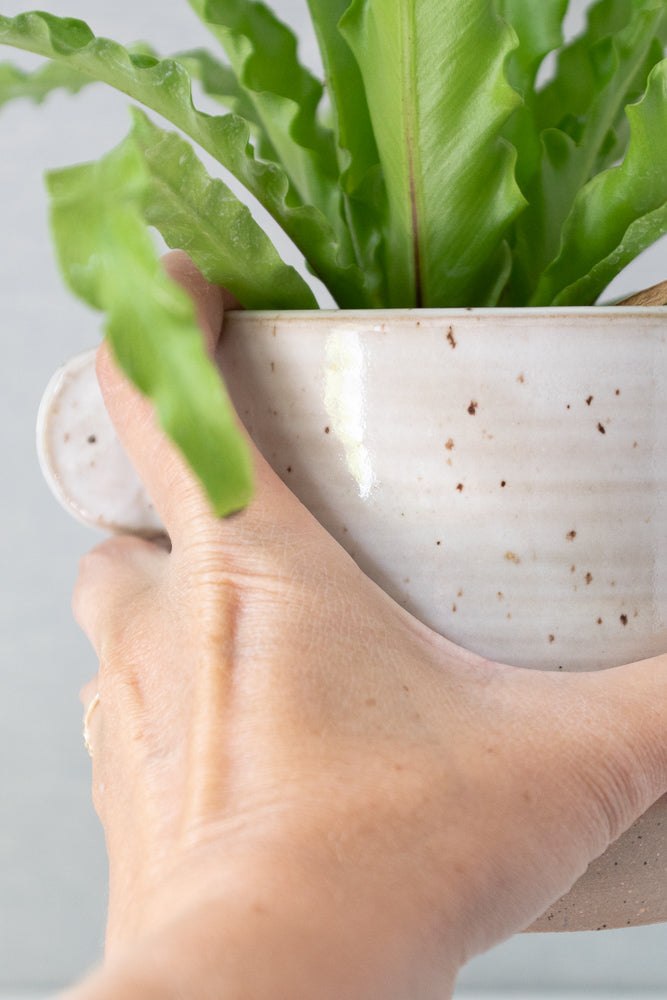Speckled White Ceramic Planter Pot - Gather Goods Co - Raleigh, NC