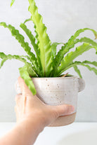Speckled White Ceramic Planter Pot - Gather Goods Co - Raleigh, NC