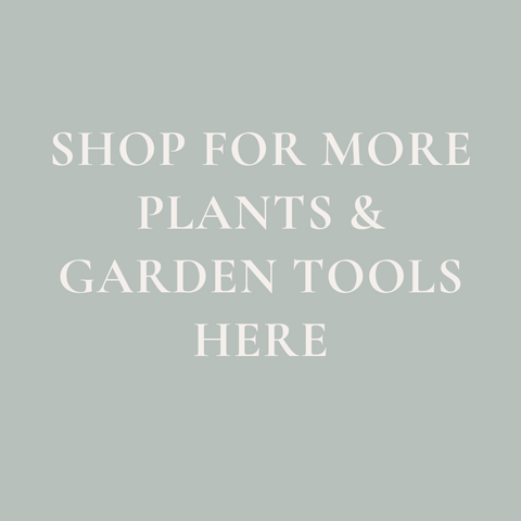 Shop More Garden And Plant Tools & Gifts Here