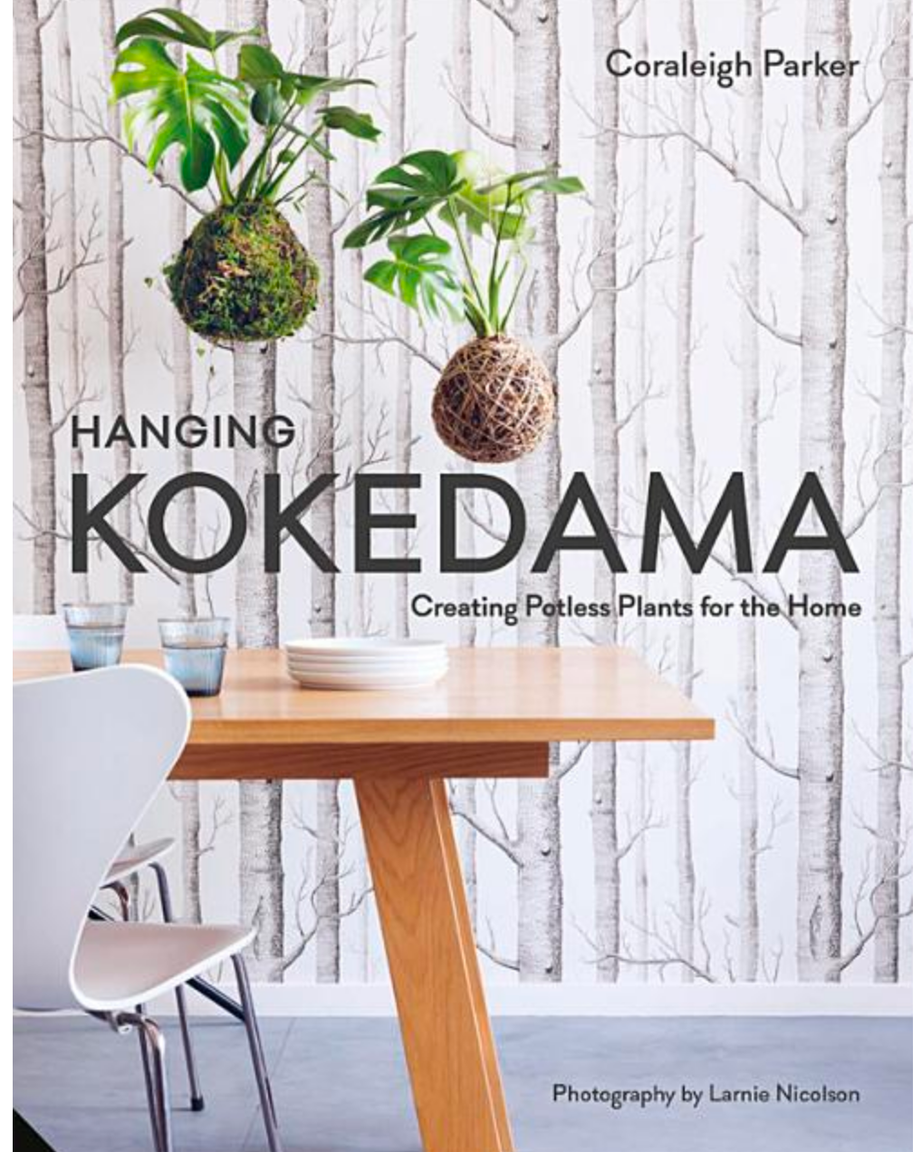 Hanging Kokedama: Creating Potless Plants for the Home - Gather Goods Co - Raleigh, NC