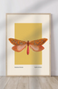 Moth Print Wall Art, Orange & Yellow Night Moth Poster
