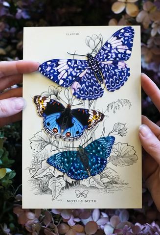Paper Butterflies - Celestial Set