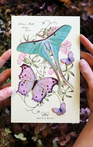 Paper Butterflies - Hyacinth Set