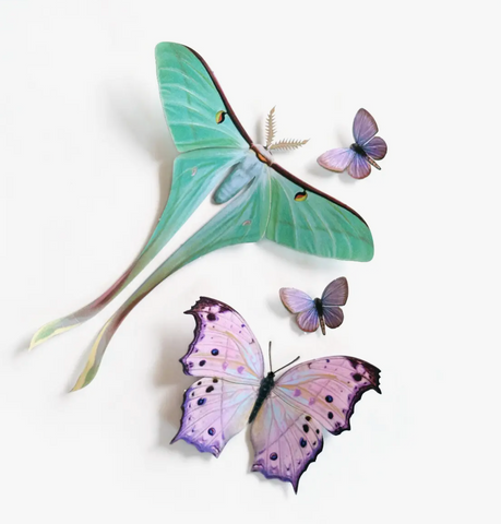 Paper Butterflies - Hyacinth Set - Gather Goods Co.