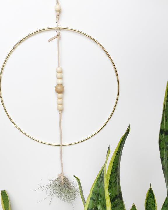 Hanging Planter with Air Plant in Gold and Leather - Gather Goods Co - Raleigh, NC