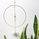 Hanging Planter with Air Plant in Gold and Leather - Gather Goods Co - Raleigh, NC