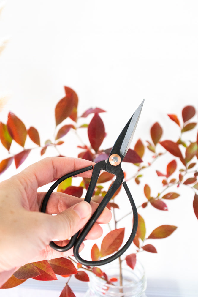 Beautiful Bonsai & Garden Scissors - Gather Goods Co - Raleigh, NC