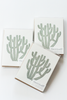 Cactus, Senita Blank Card Boxed Set - Gather Goods Co - Raleigh, NC