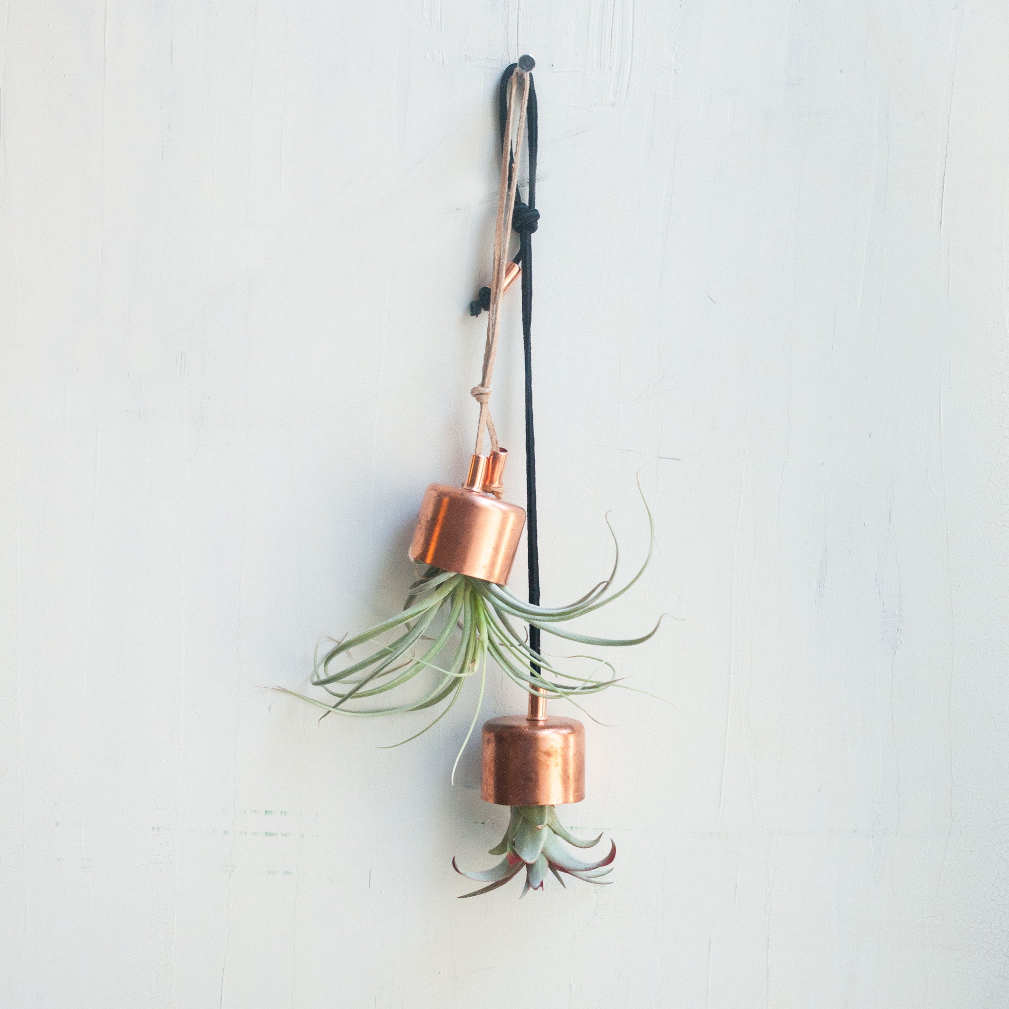 hanging copper planter Hanging Planter Copper Chime with Airplant Brown Leather
