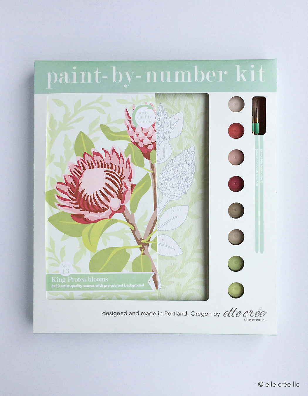 Paint By Number Kit, King Protea Blooms - Gather Goods Co - Raleigh, NC