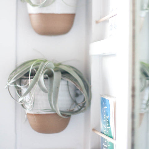 Ceramic Wall Planters - Gather Goods Co - Raleigh, NC