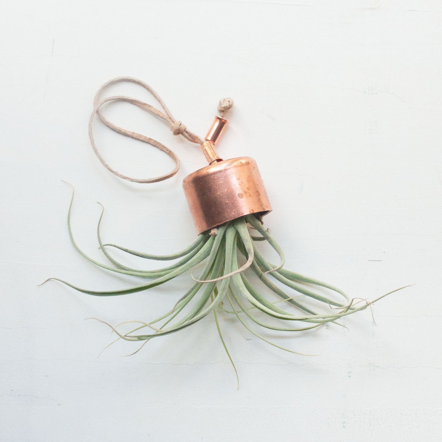 copper hanging plant pot Hanging Planter Copper Chime with Airplant Brown Leather