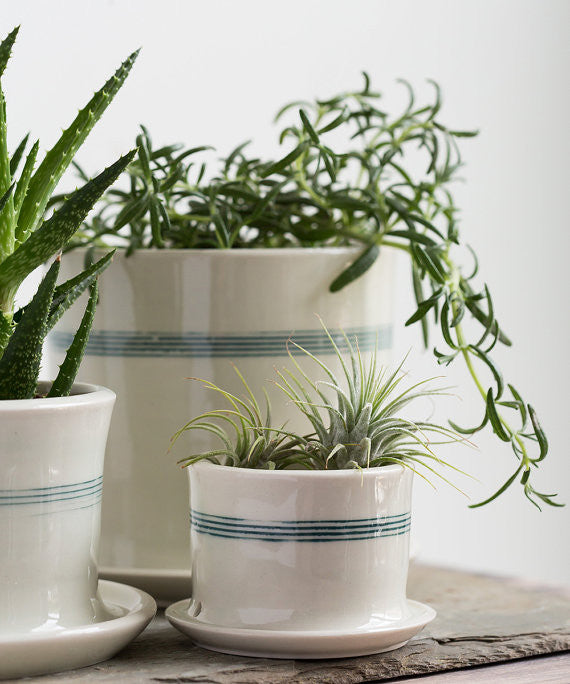 Striped Porcelain Planter - Gather Goods Co - Raleigh, NC