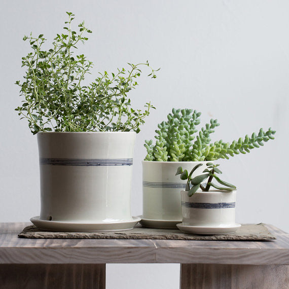 Striped Porcelain Planter - Gather Goods Co - Raleigh, NC