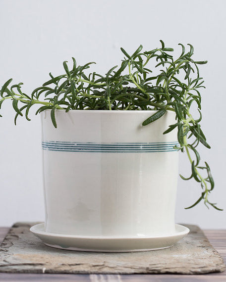 Striped Porcelain Planter - Gather Goods Co - Raleigh, NC