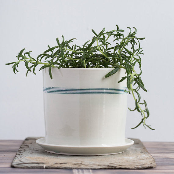porcelain plant pot Striped Porcelain Planter